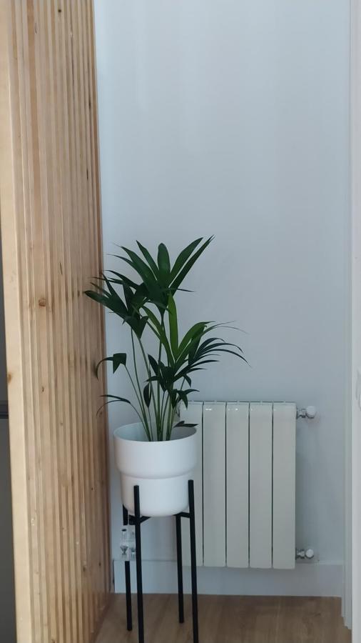 Iulia Emerita Centro Mérida Exteriör bild